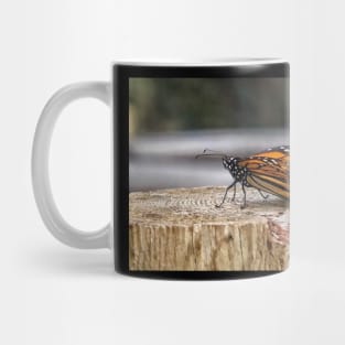 Monarch butterfly ready for takeoff Mug